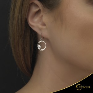Earrings Crescent Small Single Brilliant White gold K14 Code 9255