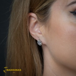 Earrings of Silver 925 White gold plated Code 006497