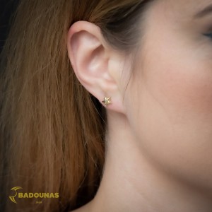 Earrings Star Yellow gold K14 Code 011512