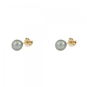 Earrings Yellow gold K14 with QTV Akoya pearl Code 007636