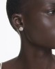 Swarovski Σκουλαρίκια Dextera 5692258 Επιχρυσωμένα με ροζ χρυσό