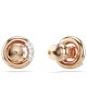 Swarovski Σκουλαρίκια Dextera 5692258 Επιχρυσωμένα με ροζ χρυσό