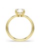 Swarovski Δαχτυλίδια Stilla Attract 5723334 Επιχρυσωμένο με κίτρινο χρυσό