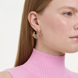Swarovski Σκουλαρίκια Imber 5753263 Επιχρυσωμένο με κίτρινο χρυσό