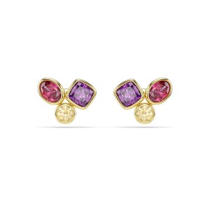 Swarovski Σκουλαρίκια Imber 5760019 Επιχρυσωμένο με κίτρινο χρυσό