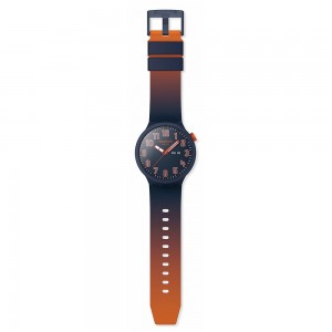 Swatch Essentially Confident SB01S700 Quartz Plastic case Blue rubber strap Blue colour dial