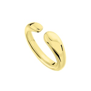 Δαχτυλίδι από ασήμι 925 Επιχρυσωμένο με κίτρινο χρυσό Κωδικός 007768